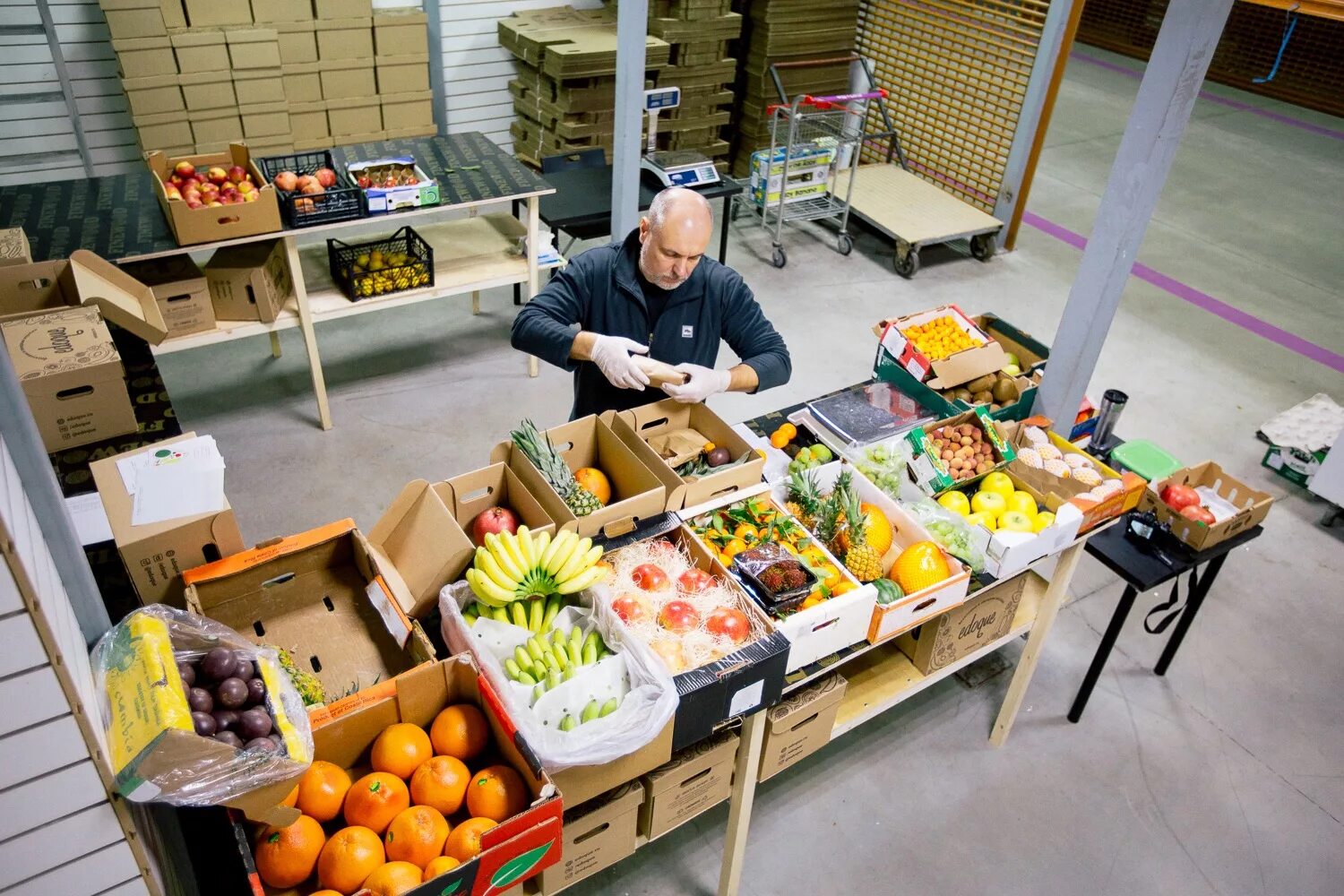Овощной бизнес. Бизнес на овощах. Бизнес овощи фрукты. Овощной бизнес с нуля.