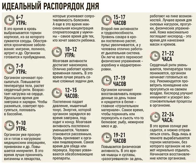 Можно спать 2 часа. Идеальный распорядок дня. Правильные часы для сна. Самые полезные часы СНК. Правильное питание и режим сна.