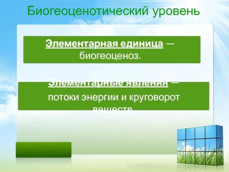 Биосферно биогеоценотический уровень организации. Биогеоценотический уровень. Биогеоценотический уровень элементарная единица. Биогеоценотический уровень организации. Биогеоценотический и биосферный уровни жизни.