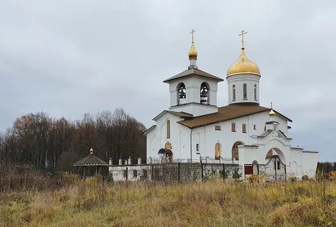 Погода область пушкино
