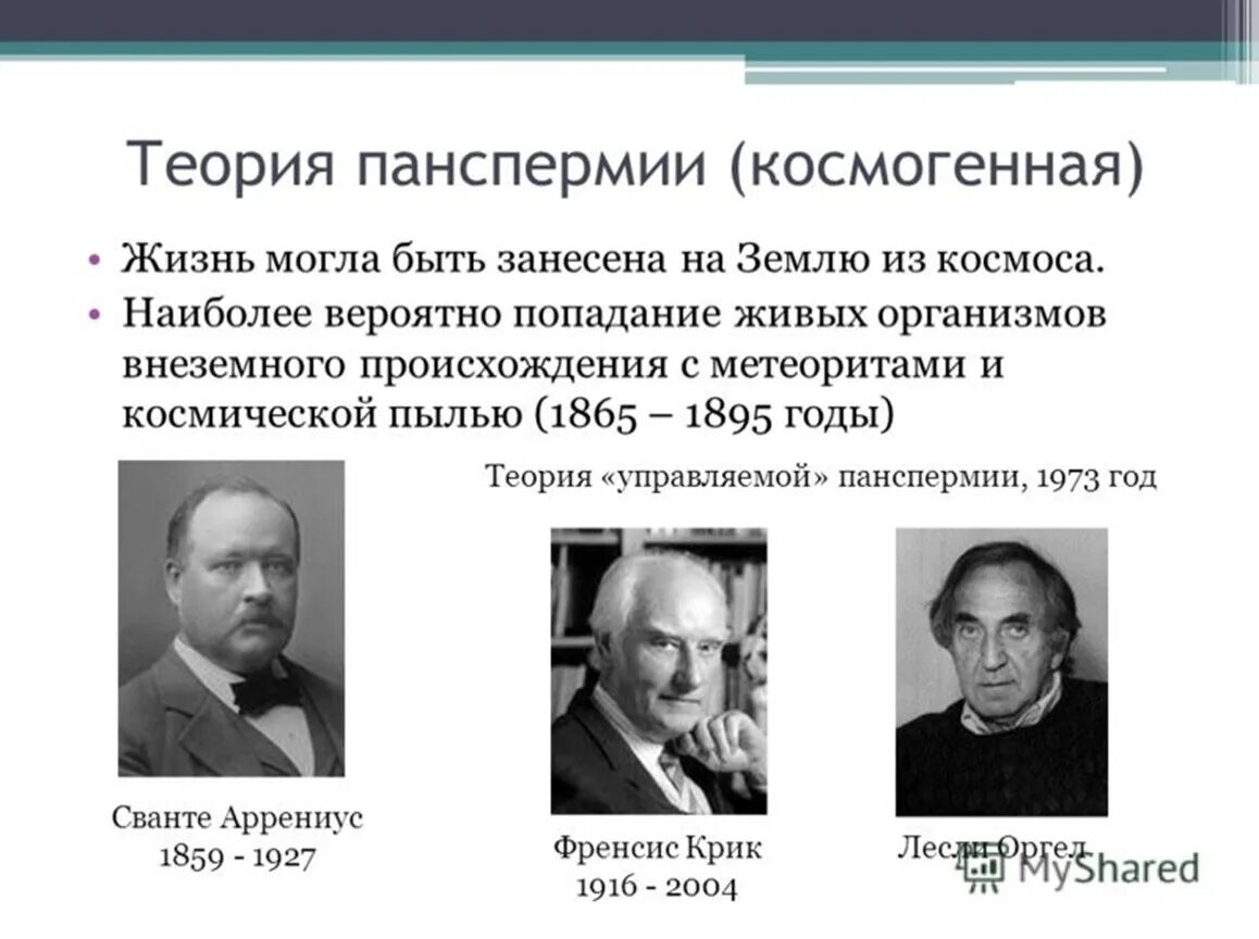 Сторонники точки зрения. Теория панспермии (космогенная). Гипотеза панспермии Рихтер. Приверженцы гипотезы панспермии. Гипотезы происхождения жизни панспермия.