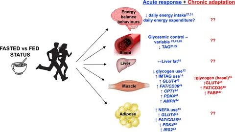 Response body