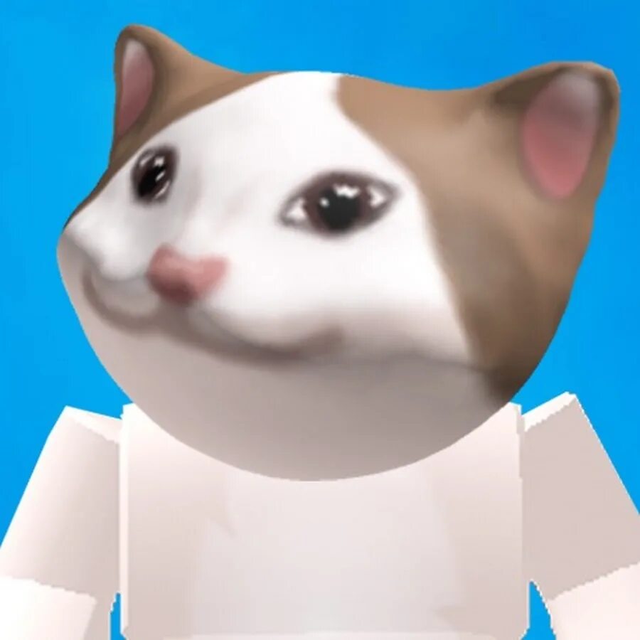 Кошку roblox. РОБЛОКС Cat. Pop Cat РОБЛОКС. Скин Pop Cat Roblox. Поп Cat из РОБЛОКСА.