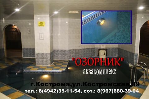 Скорпион кострома