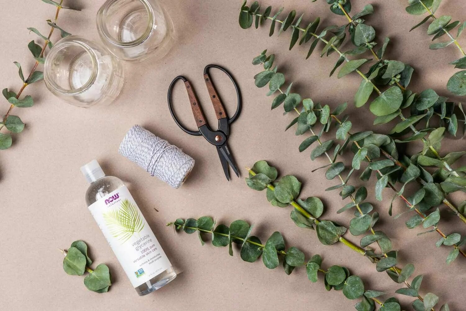 Эвкалипт лекарственное растение. Эвкалипта прутовидного листья гф. Эвкалипт листья лечебные. Настой эвкалипт. Эвкалипт остролистный.