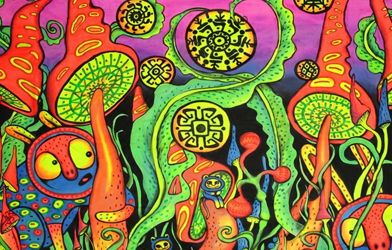 Acid content