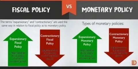 Policy terms