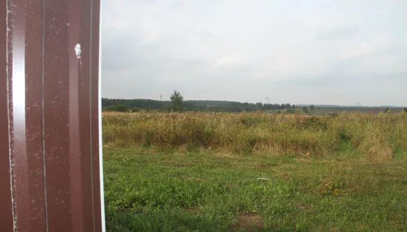 Село никулино московская область. Поселок никулино московская область. Деревня никулино. Улица садовая деревня понизье. Д никулино московская область.