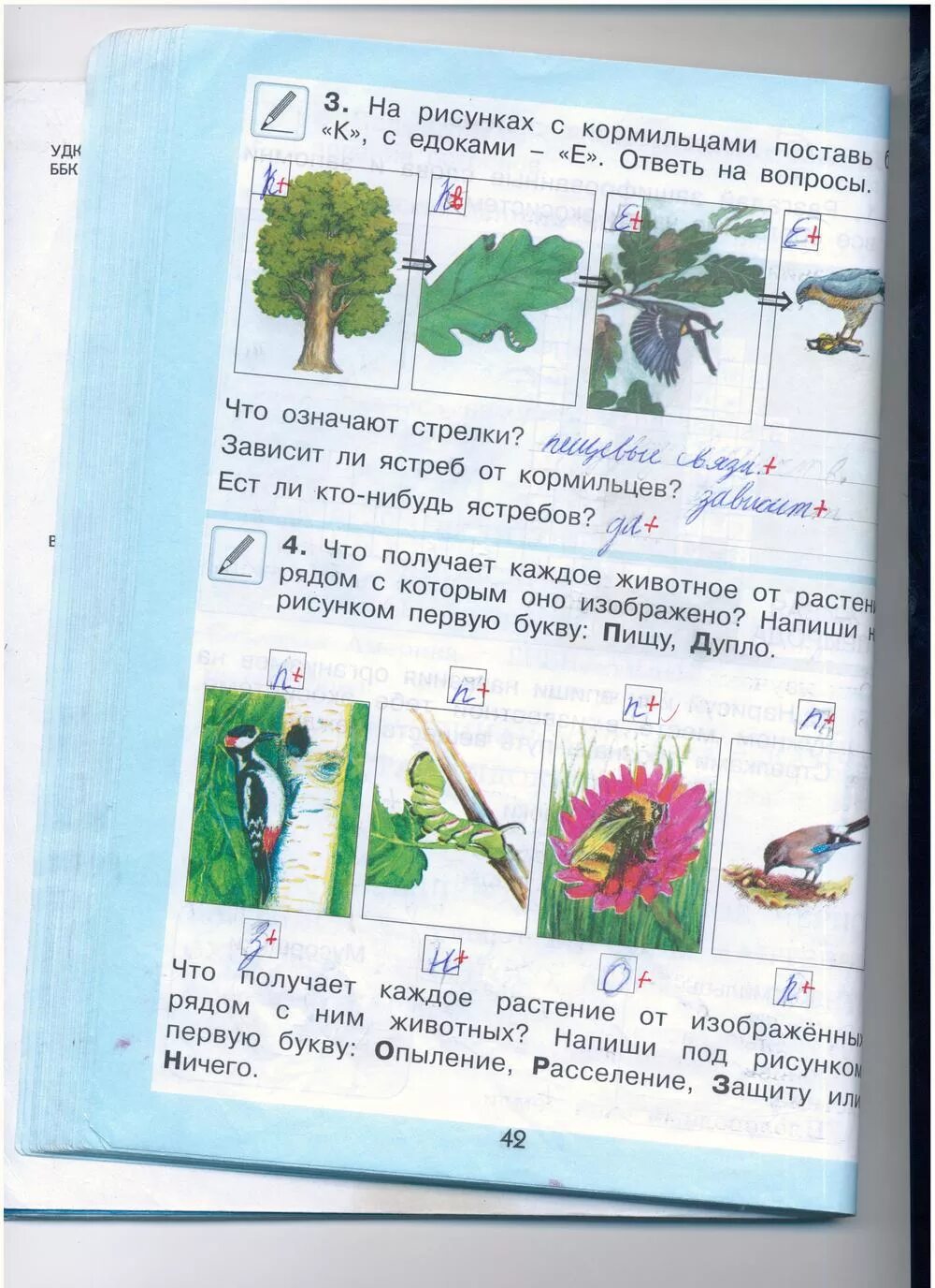 Окр мир рабочая тетрадь стр 42. Гдз окружающий мир 2 класс рабочая тетрадь. Окружающий мир 2 класс рабочая тетрадь ответы. Окружающий мир 2 класс рабочая тетрадь стр 42. Гдз по окружающему миру 2 класс рабочая тетрадь стр 42.