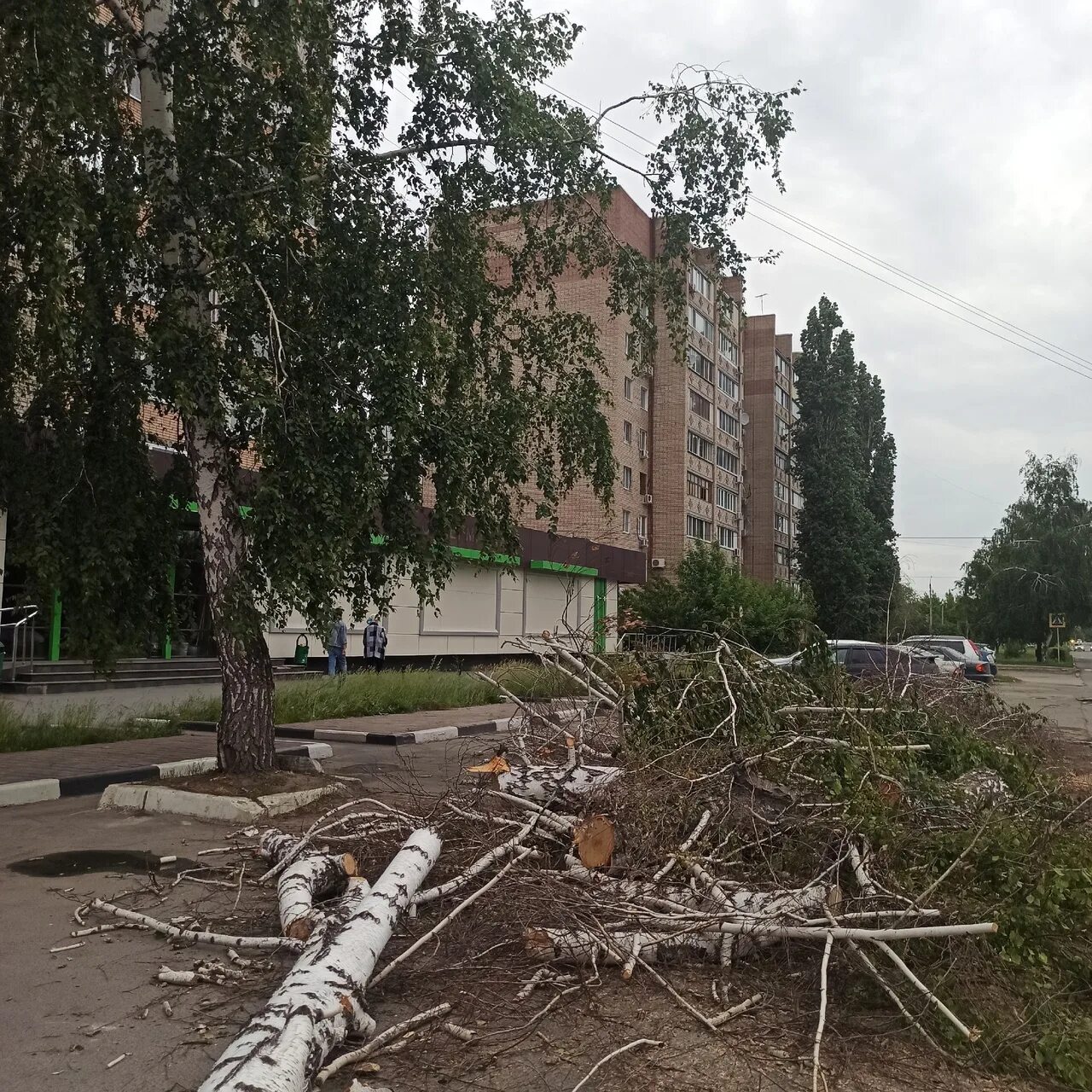 г. Береза, ул. Ленина, 93 - ТРИ цены