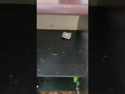 Травлю тараканов красноярск