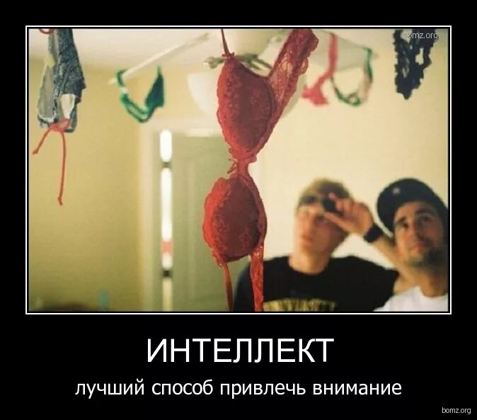 обратили внимание не столько