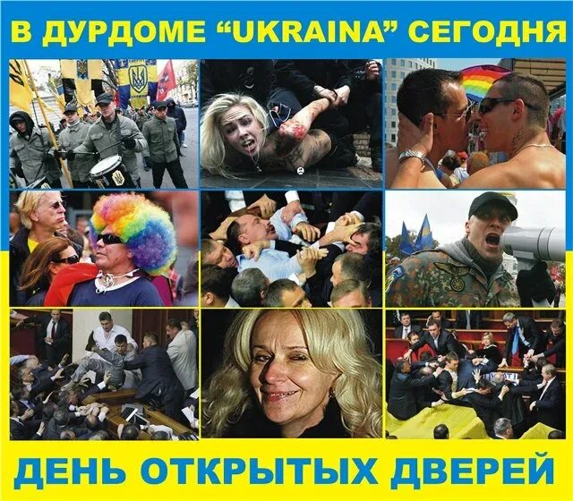 Хохлы дебилы. Ненормальные украинцы. Украинцы безумны