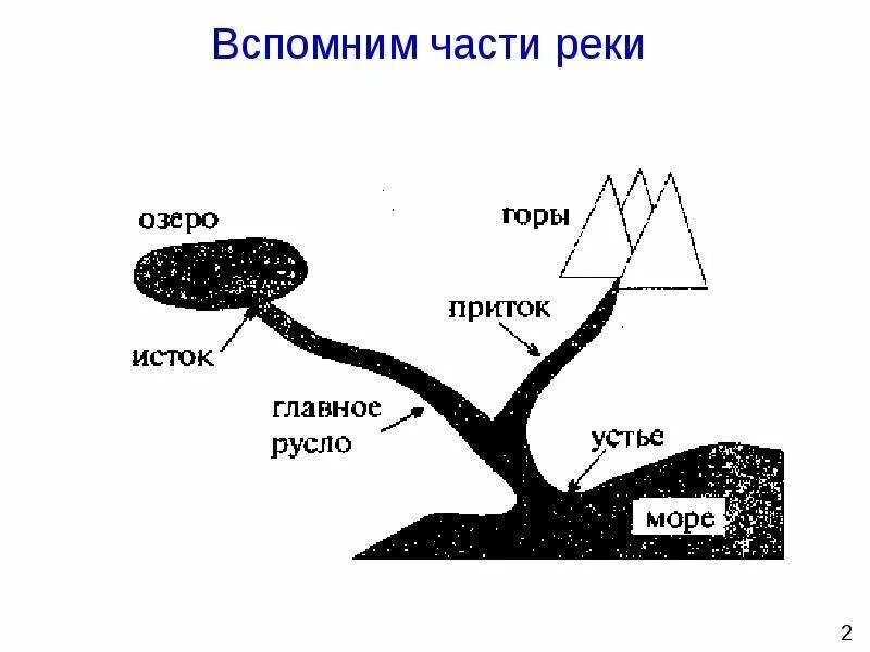 Река миссисипи устье исток приток. Схема реки исток приток устье. схема реки исток приток русло устье. исток устье русло приток. русло приток устье реки.