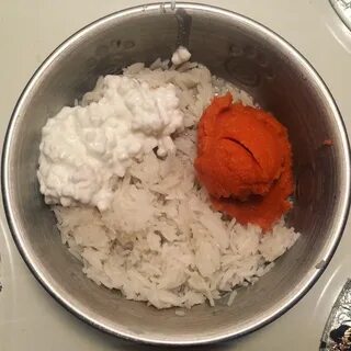 Творог щенкам