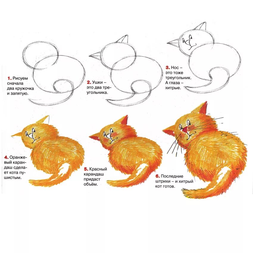 Рисуем кота с детьми. Схема рисования кошки. Схема рисования котенка для детей. Схема рисования кошки для дошкольников. Рисование для детей котик.