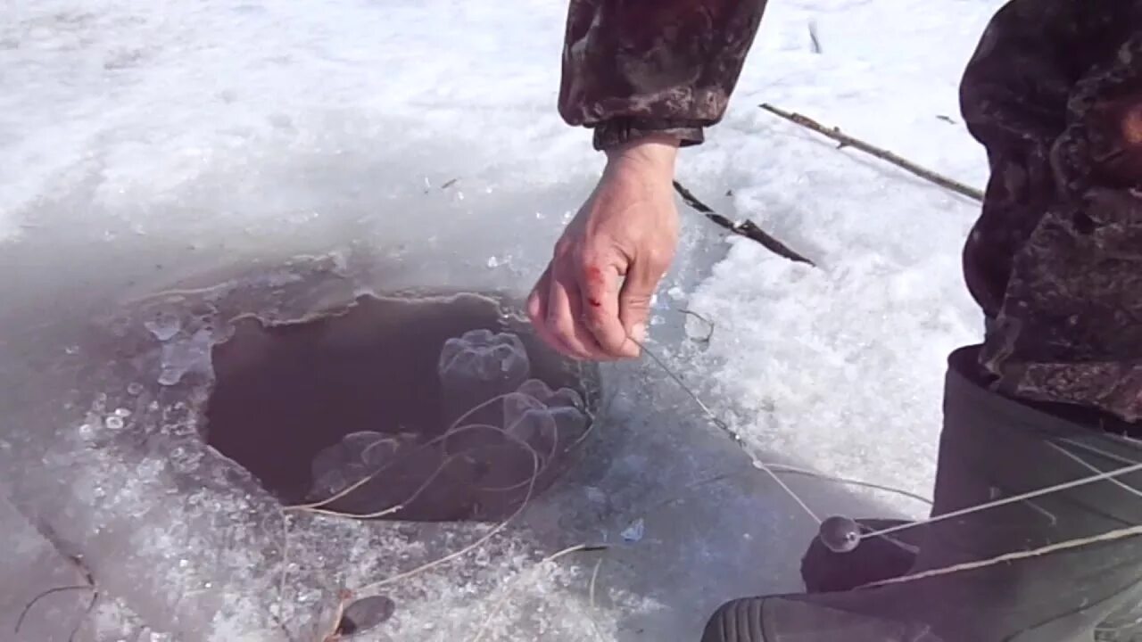 Перемет под лед. Ловля налима зимой на перемет. рыбалка на перемет зимой. тропа налима. как поставить перемёт под лёд.