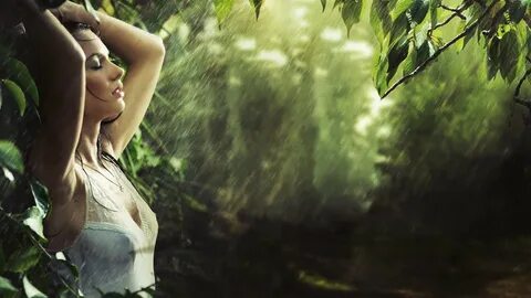 Rain in Forest Sounds 9 HOURS : Relaxing Sounds, Sleep Sounds, Deep Sleep, Natur