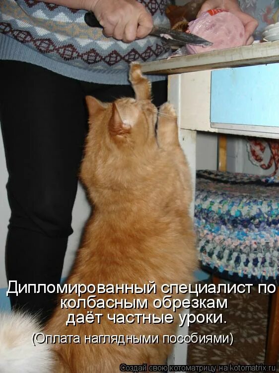 Ничего вы не понимаете в колбасных обрезках. Ничего ты не понимаешь в колбасных обрезках. Ничего вы не понимаете в колбасных обрезках. Колбасные обрезки. Колбасные обрезки фото.