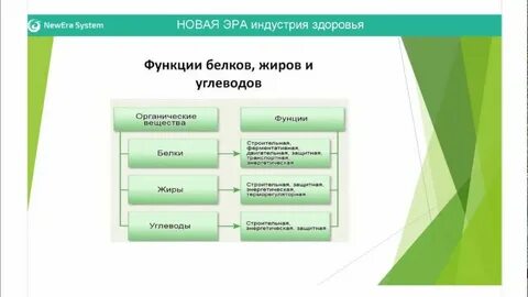 Новая эра краткое