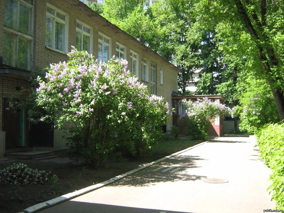 детский сад льдинка ярославль. текстильщик. детский сад болшевской трудовой коммуны королев. садик белочка в королеве. болшевская коммуна ясли.