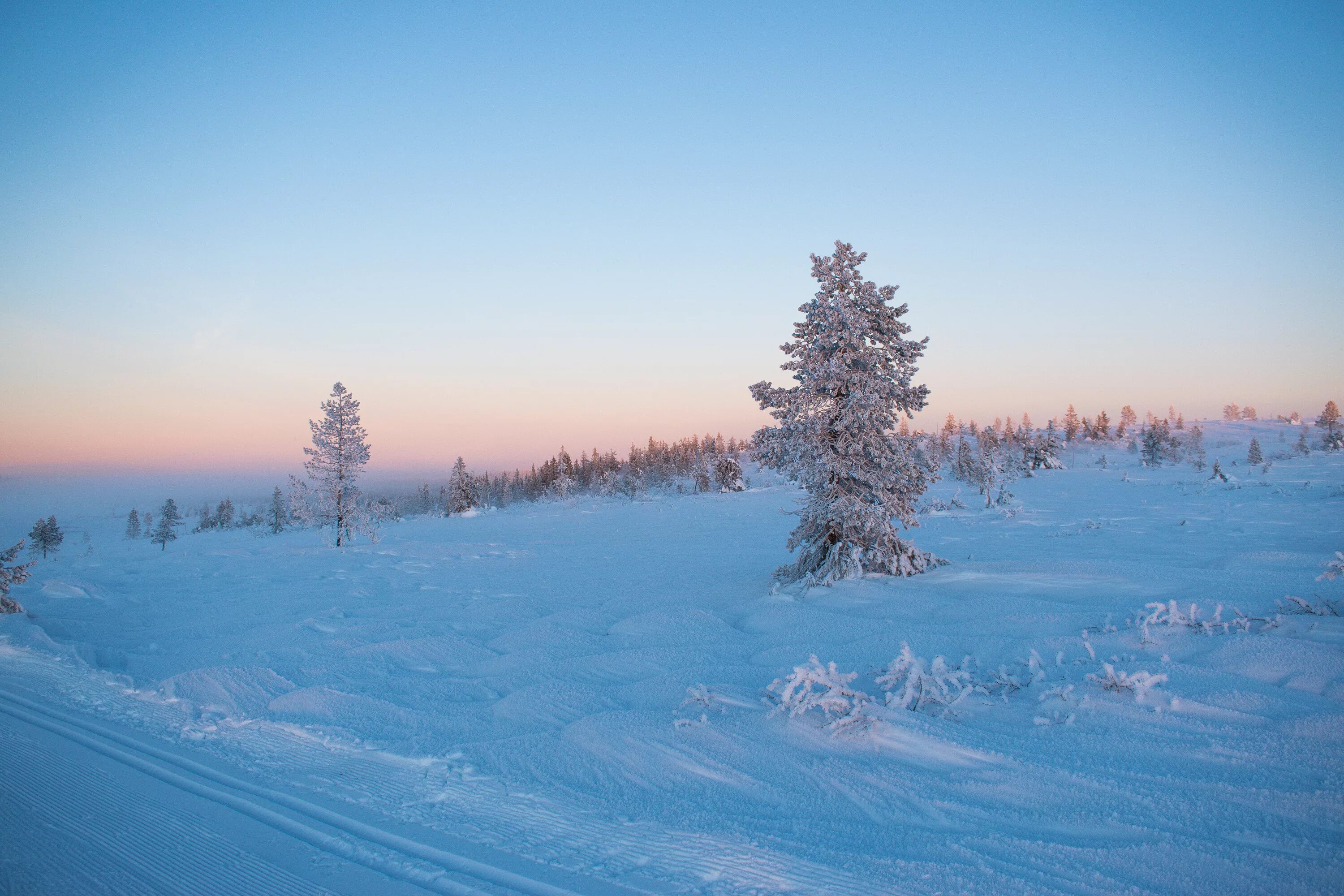 Зимнее поле. Природа зима. Зима в России. Обои зима.