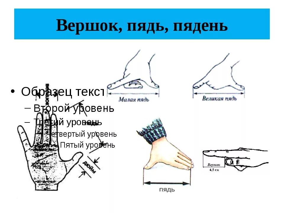 Вершок это сколько в сантиметрах. Мера длины пядь и вершок. что такое пядь и вершок. единицы измерения пядь вершок. старинные меры измерения вершок.