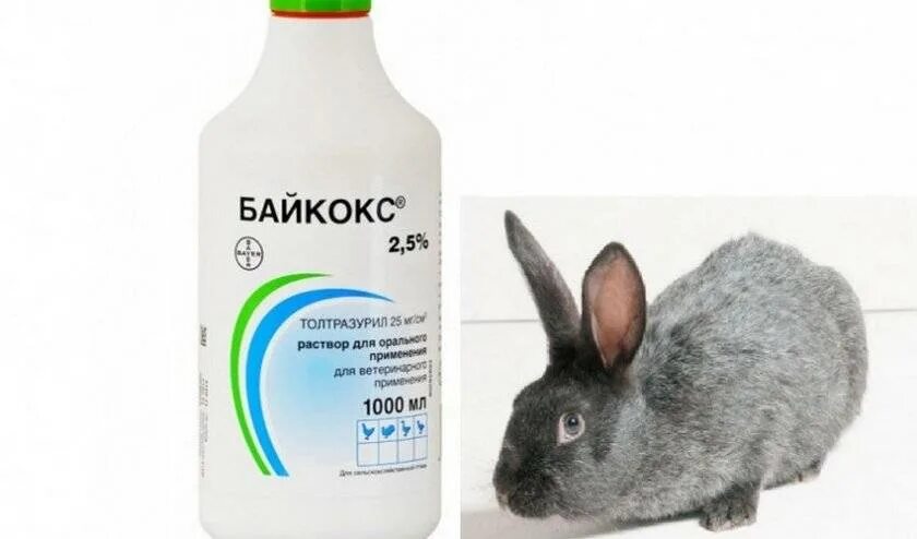 Байкокс инструкция для птиц. Байкокс 2,5 %. Байтрил 2.5 для кроликов дозировка. Байкокс 2.5 для кроликов. Байкокс от кокцидиоза кроликов.