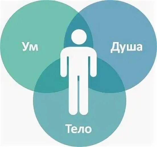 Ум и душа человека