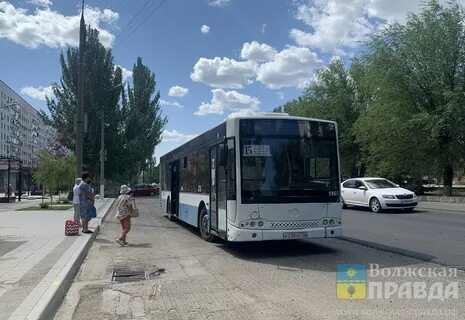 Дачные автобусы волжский