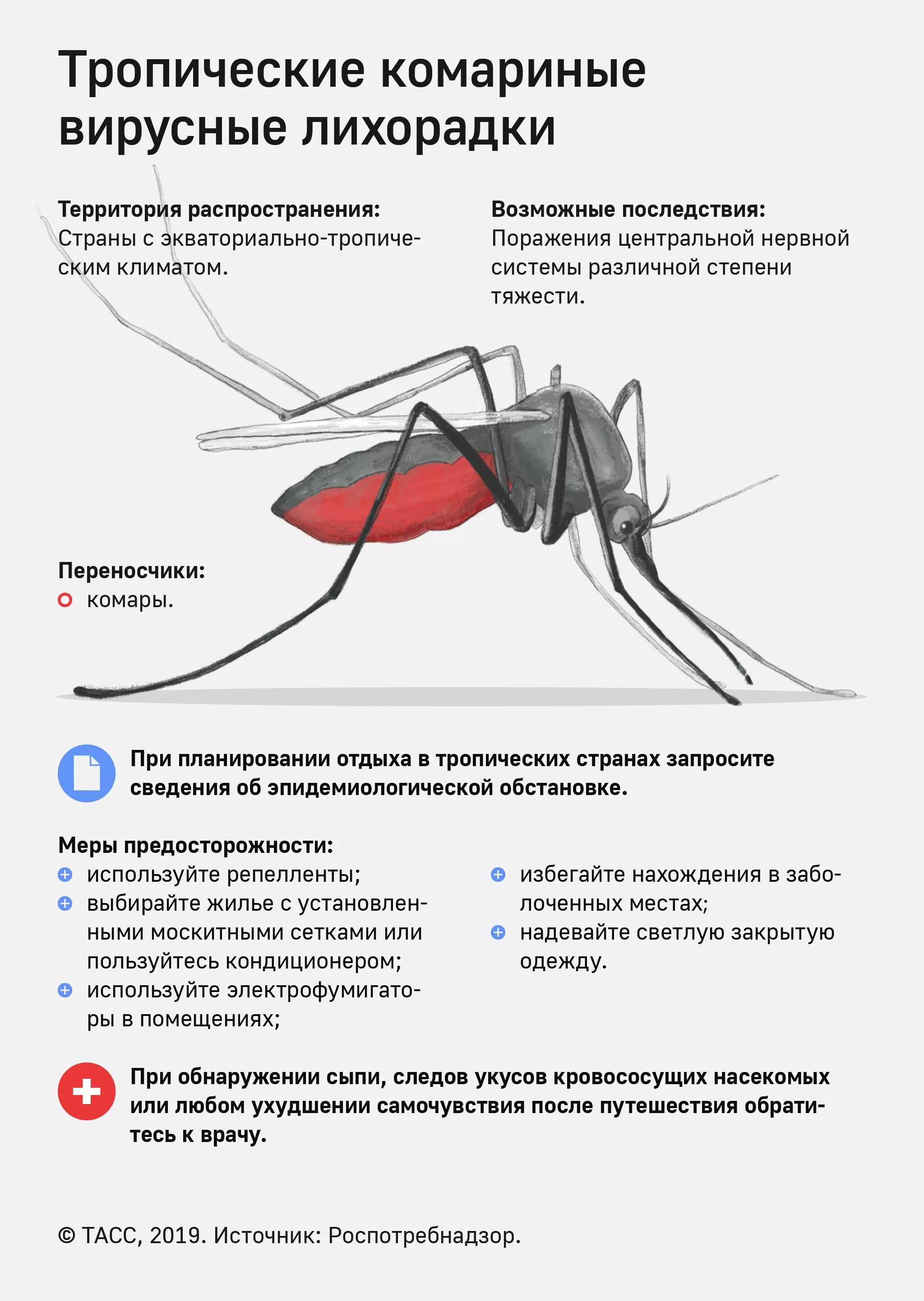 Укус малярии. Малярийный комар болезнь. Профилактика от малярийного комара. Памятка по профилактике малярии.