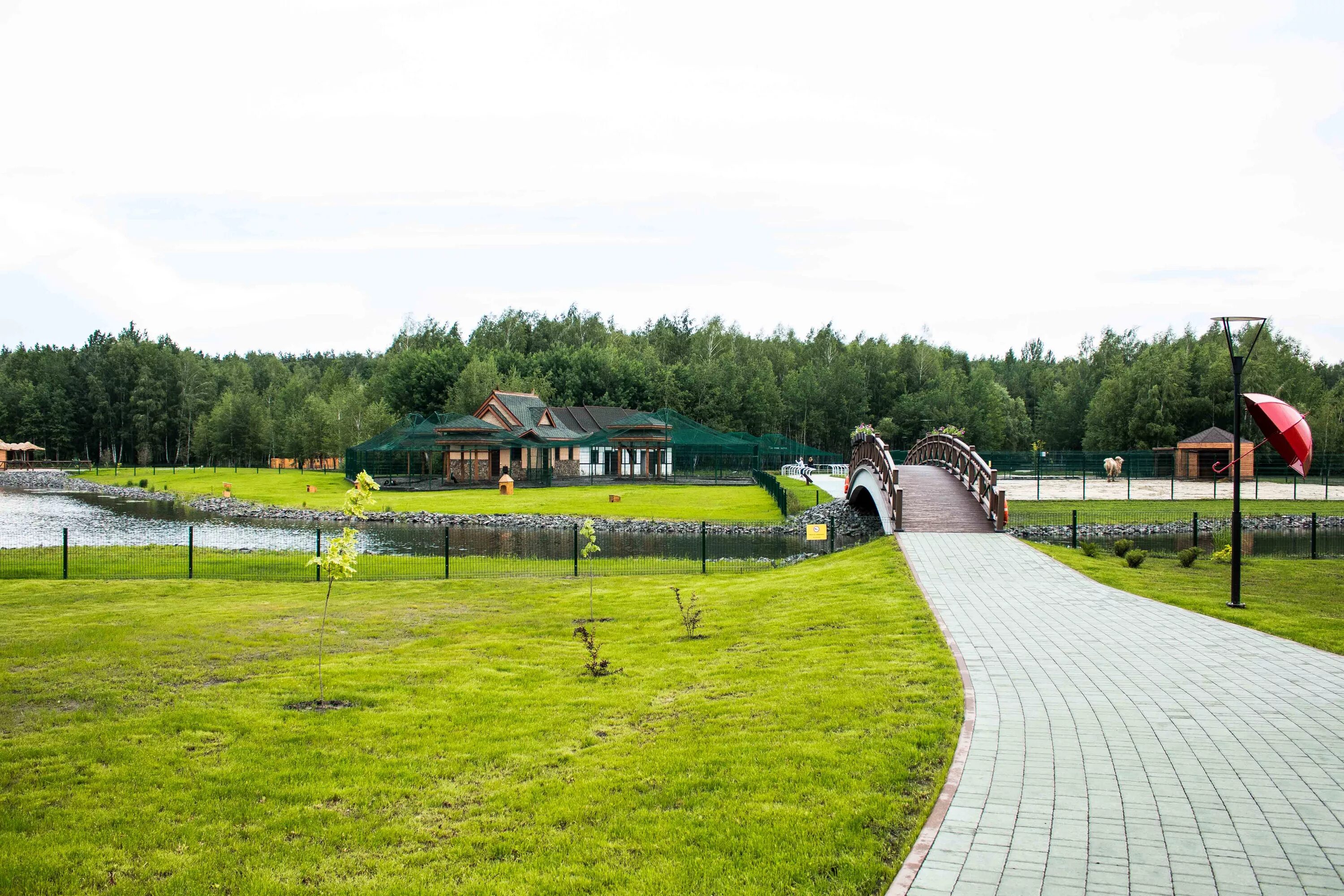 Белгород погулять. Зоопарк Белгород. Белгородский зоопарк Белгород. Зоопарк в Сосновке Белгород. Новый зоопарк Белгород.