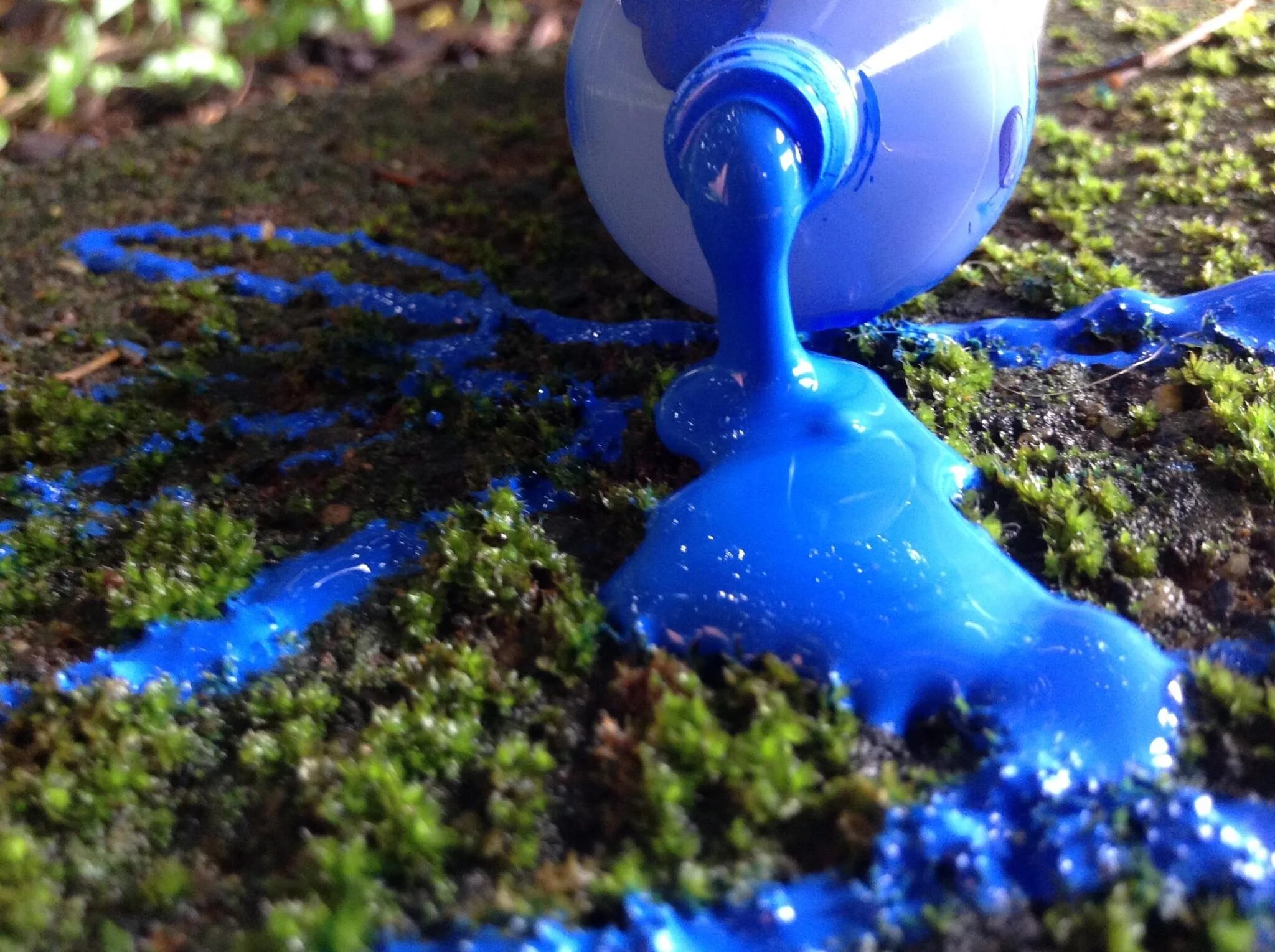 Водные красители. Краска голубая. Синий цвет краски. Плавающие краски. Растение синяя краска.