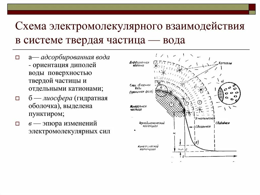 Взаимодействия твердых частиц. Гидратная оболочка. Геотехника размер частиц. Формирование гидратной оболочки. Гидратная оболочка белка.