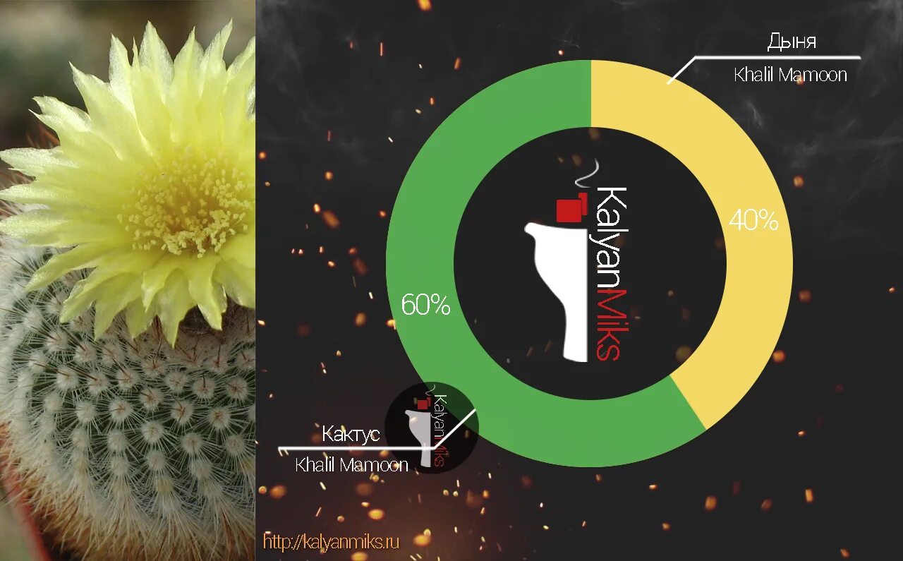 Киви миксы. Кальянные миксы с кактусом. Микс с кактусом для кальяна. Миксы для кальяна. Миксы табака для кальяна с кактусом.