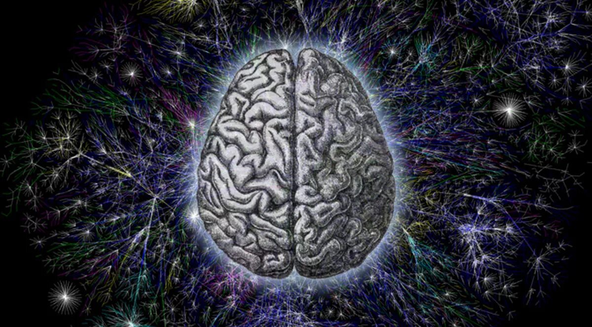 Something similar. Мозг Вселенной. Вселенский мозг. Мозг космос. Квантовый мозг.