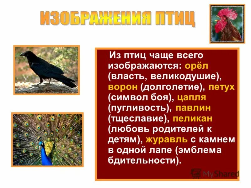 Карточки дикие птицы. Перелетные и неперелетные птицы. Форма клюва у птиц в зависимости от питания. Обучающие карточки перелетные птицы. Зимующие птицы и перелетные птицы с названиями.