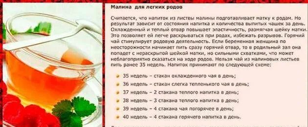 Чай из листьев малины для стимуляции родов. Отвар малины перед родами. Чай из листьев малины для беременных перед родами. Отвар из малиновых листьев. Листья малины перед родами