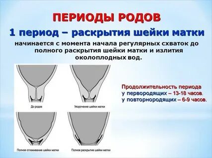 Сколько должно быть полное раскрытие