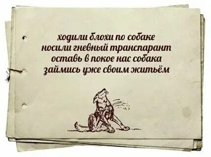Оставьте злодея в покое 2