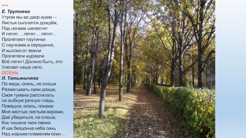 Утром мы во двор идем листья сыплются. Утром мы во двор идем листья сыплются. Е трутнева осень. Утром мы во двор идём листья автор. Утром мы во двор идем листья сыплются.