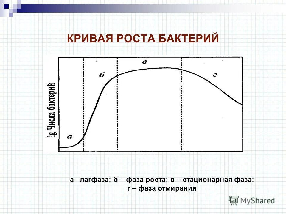 Стационарная кривая