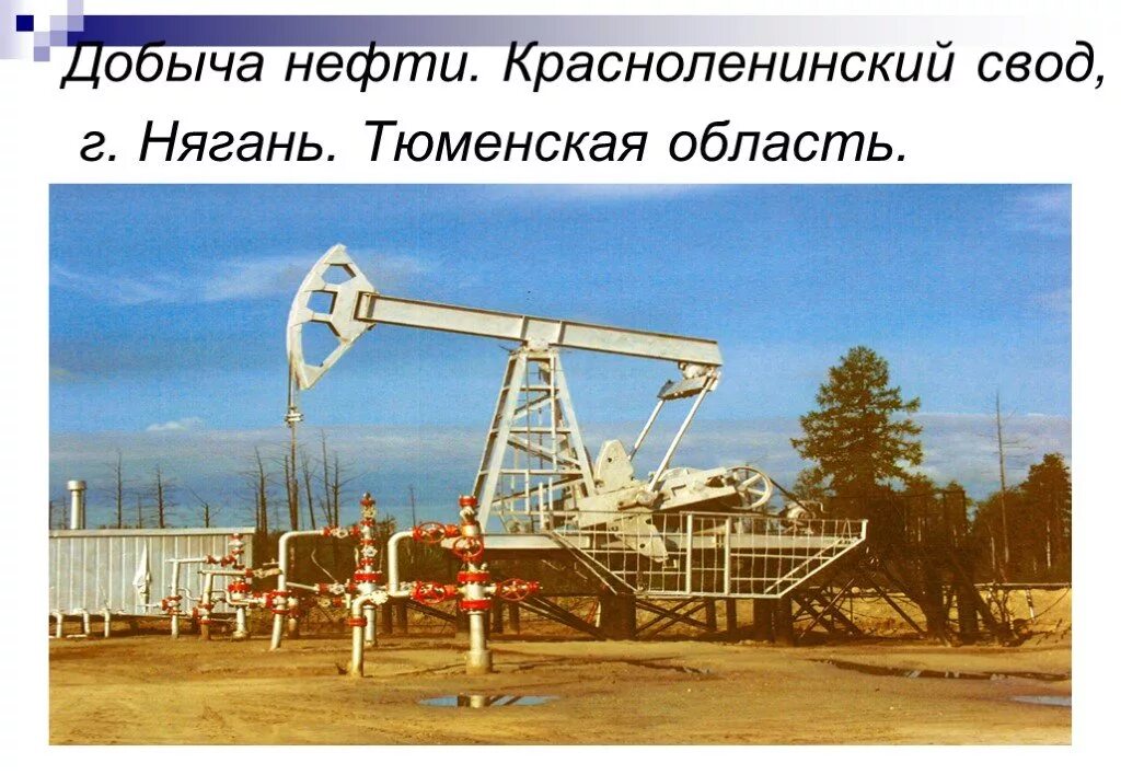 Тюменский нефти и газа. Добыча нефти в Тюмени. Добыча нефти в Тюменской области. Тюменская область нефть и ГАЗ. Месторождения нефти в Тюменской области.