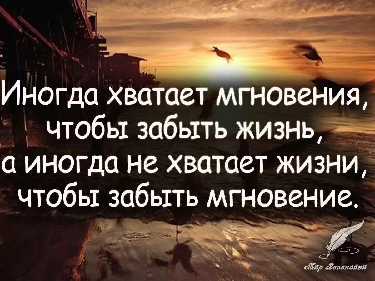 Статусы о счастье со смыслом. Жизненные цитаты. Афоризмы про мгновение. Цитаты про жизнь. Афоризмы про жизнь.