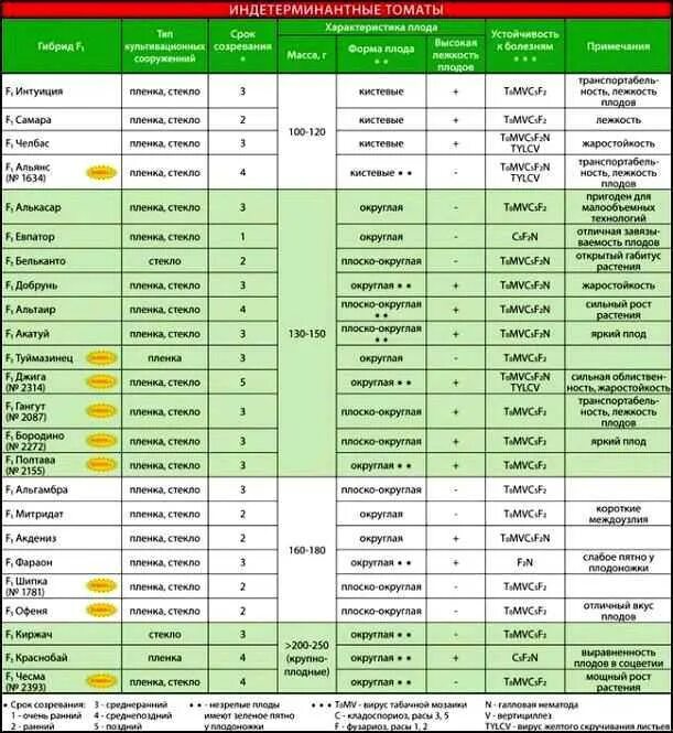 Сравнение сортов томатов таблица. Таблица сортов томатов по срокам созревания. Таблица урожайности сортов томата. Сравнительная характеристика сортов томата.