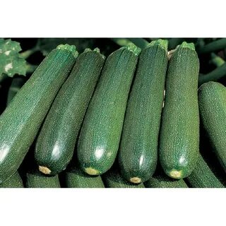 Сорта цукини
