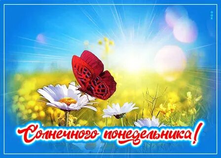 Солнечный неделя