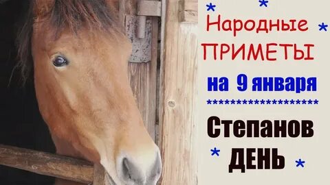 9 января день степана