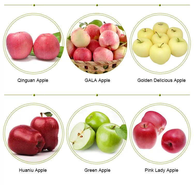 New Crop Fresh Red Apple Fruit Fresh Fuji Apple Factory Price Wholesale Supplier