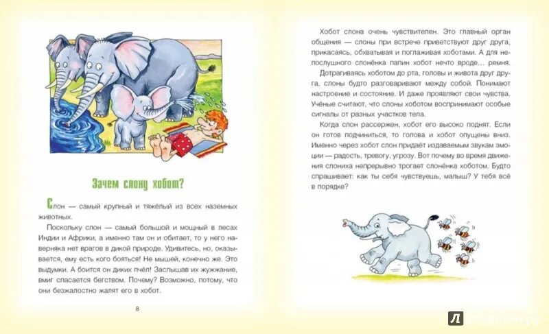 Слон какой звук. Кого боится слон больше всего. какой звук издает слон для детей. слон издает звуки. слоны боятся мышей.
